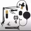 Mic (professional mic) Including all accessories