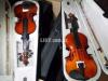 Violin with hardcase 1 year warranty