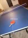 Apollo brand butterfly Style 8 wheel table tennis with Rackets and net