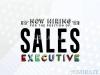 SALES EXECUTIVE