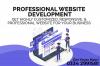 Professional web design, professional website design, website dev