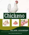 Chicken meat fresh and health chicken