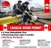 Canada and Poland work permit available