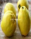Behi Safarjal (Quince) available in Islamabad