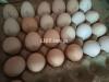 DESI EGGS AVAILABLE FOR SALE