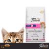Felicia kitten Food Available All Arrang Available 2kg 12kg