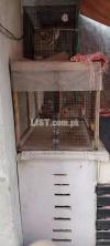 Wood cage for sale