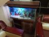 New aquarium 3 ft with fish and all asserioes