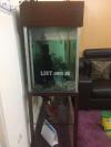 Fish Aquariums With Stand