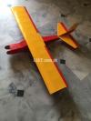 RC Plane for sale