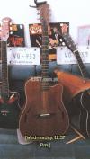 SQOE SQ-SF Semi Acoustic Guitar built in tuner and equalizer
