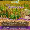 Quinoa Cultivation Seeds