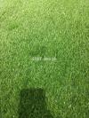 Artificial grass, synthetic grass, fake grass, astro turf