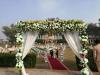 Farm House / Wedding Place / Farm House For Rent / Marquee Rent & Sale