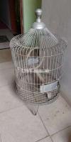 Cage For Grey Parrot Mascow Pahari