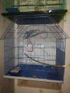 Brand new cage for sale