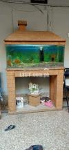 4.1 feet aquarium with complete setup