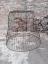 Aseel cage big size  for sale