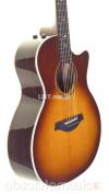 Acoustic Guitar Jumbo Size