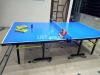 Table tennis | Exclusive table| high density board official