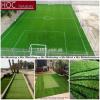 Futsal ground, football fields artificial grass by HOC TRADERS