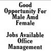 Male And Female Staff Required For Office Management