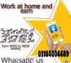 Urgently required a staff for Online Marketing and office Management