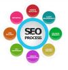 SEO Expert available with 9 year experience High DA PA