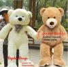 New Imported Teddy Bears For Decorations , Anniversary ,Birthday  Gift