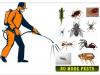 Best fumigation ,pest control,termite control ,water tank cleaning