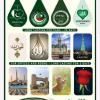 Deluxe Air freshener Cards for Cars, Offices and Homes - 14 Designs