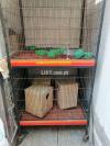 Birds cage for sale
