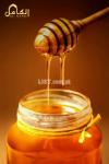 100% Pure Beri Honey. RS:4000/kg