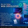 Web Developer Required