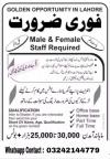 We Need MaLes and FemaLes students for online working