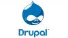 Drupal Developer Required (Urgent)