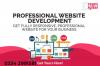 Professional E-commcere website, Ecommerce website, web design,website