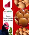 Desi Eggs - Table Eggs- Supreme quality- RED Farms