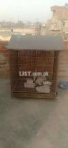 Cage for sale 10# wire