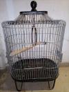 Cage Pingra for parrots