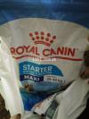 Dog food Royal Canin