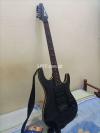 Ibanes Style Electric Guitar