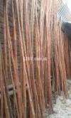 Bamboo whole sale shop