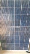 250 Watt Jinko Solar Panels