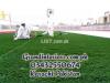 Artificial Grass wholesale by Grand interiors