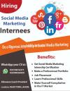 Social Media Marketing Internee.