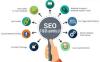 Seo Expert available for your project