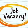 Sales Managers / Sales Advisors