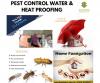 Waterproofing Termite control Pest control
