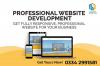 Professional Ecommerce web design, professional website design,